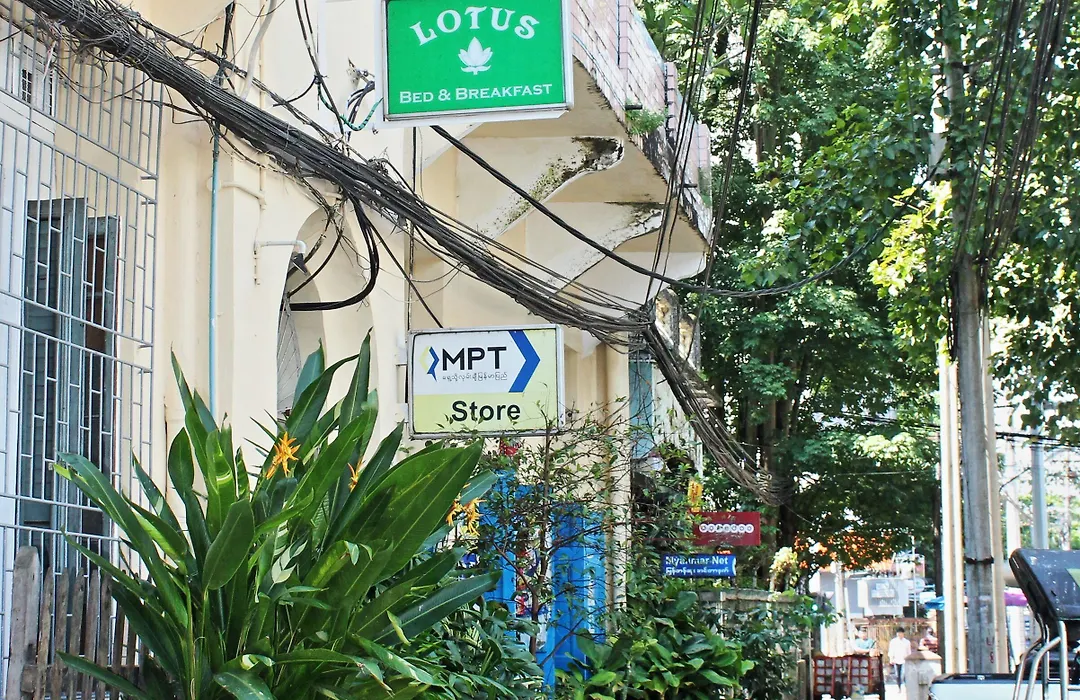 Lotus Bed & Breakfast-1